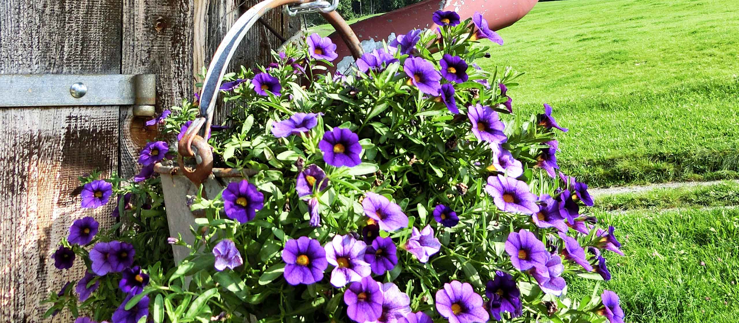 Blumendeko Ferienhof Hantmann